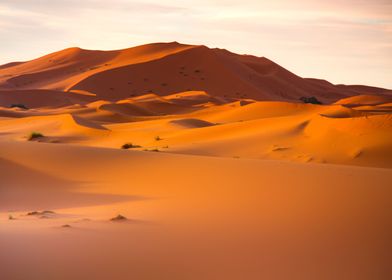 Sahara Desert Morocco