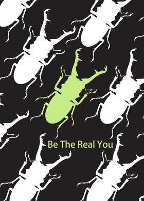 Individuality Stag Beetle