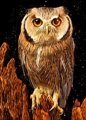 Owls in the artwork 23