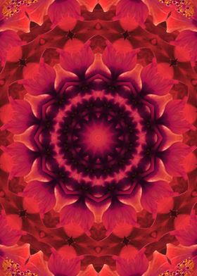 Root Chakra 