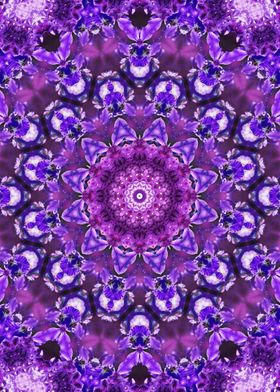 Crown Chakra