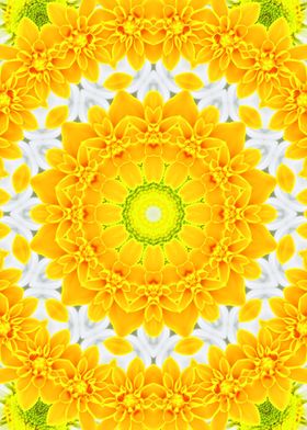 Solar Plexus Chakra