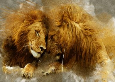 warm lions hug