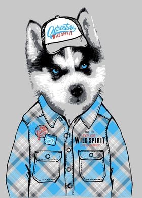 husky puppy  in shirt 