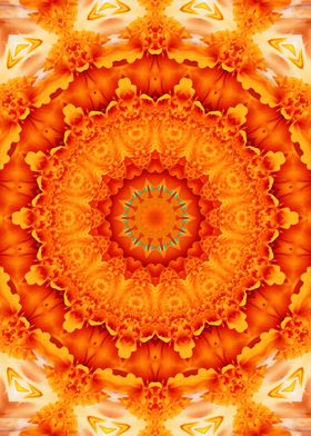 Sacral Chakra