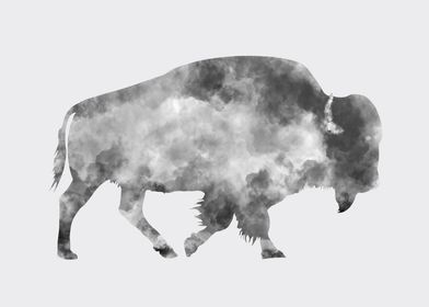 American Bison