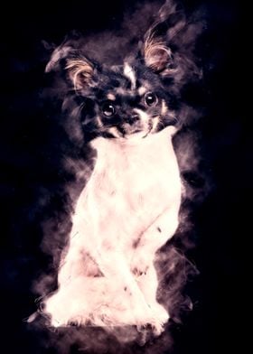 Chihuahua Dog Aura