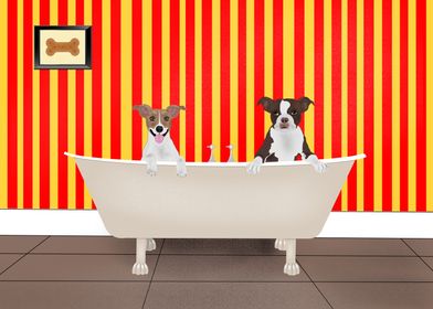 Bath Time For The Dogs