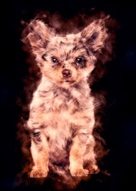 Chihuahua Dog Aura