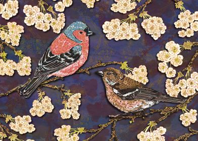 Chaffinches in Blossom