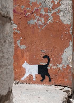 Cat Graffiti