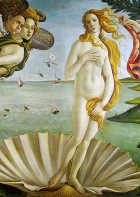  Birth of Venus Botticelli