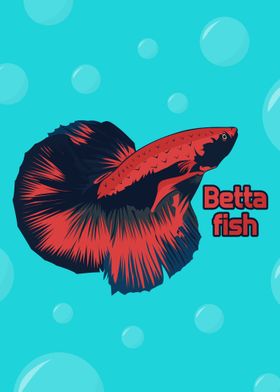 Betta Fish