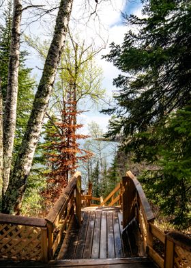 Lake Superior Forest