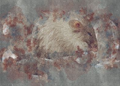 cute rat mouse