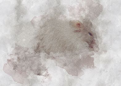 mouse rat