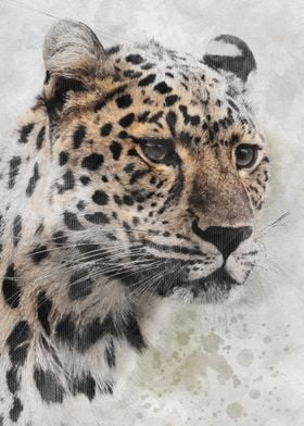 Watercolor Leopard 