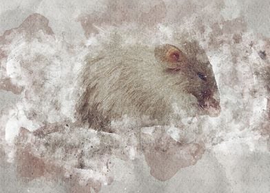 cute rat mouse