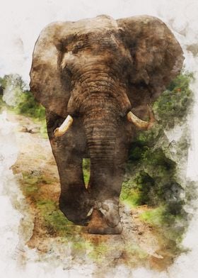 Watercolor Elephant