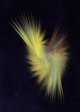 feathers fractal art