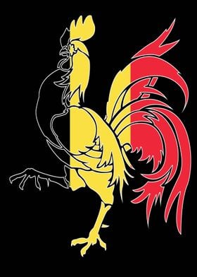 Belgium Rooster