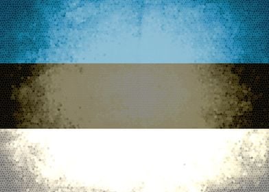 Estonia vintage flag