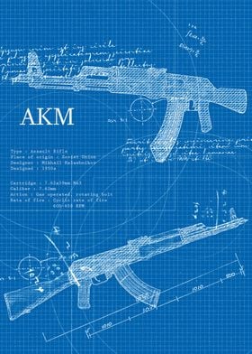 Akm Weapon