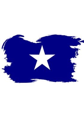 The Bonnie Blue Flag