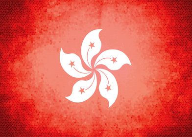 Hong Kong vintage flag