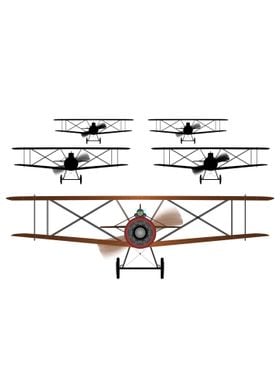 Biplane Squadron