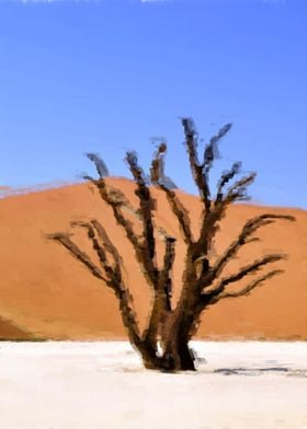 Dried trees in the desert