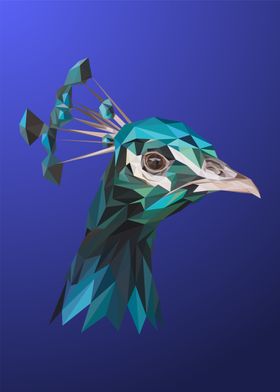 Blue Peacock Portrait