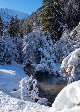 winter panoramic view