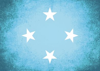 Micronesia vintage flag