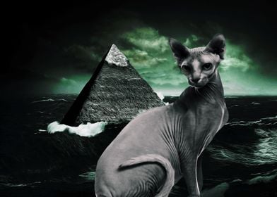 Egipt Cat