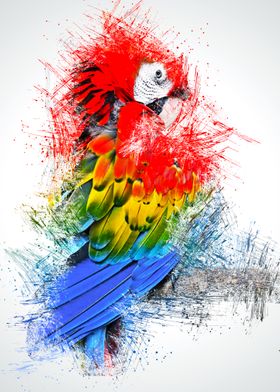 parrot