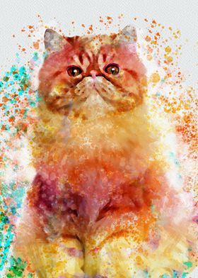 persian cat watercolor