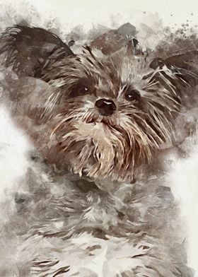 Brussels Griffon