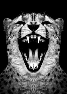 wild angry Cheetah poster 