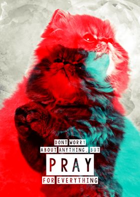 persian cat popart pray