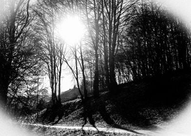 Bicycle path in bw