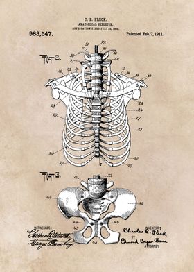 patent Fleck Anatomical Sk