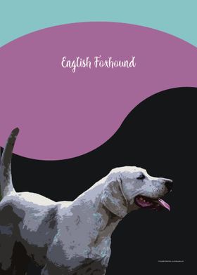 English Foxhound