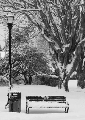 Snow covered bench