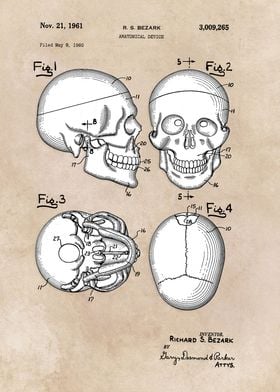 patent Bezark Anatomical d