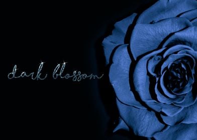 Black rose