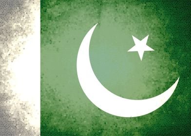 Pakistan vintage flag