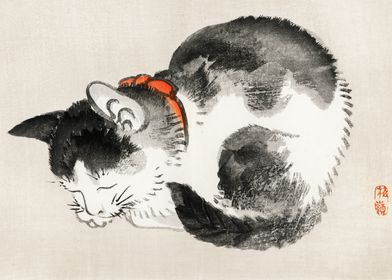 Sleeping cat Kono Bairei