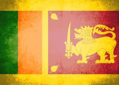 Sri Lanka vintage flag