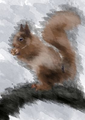 the squirrel